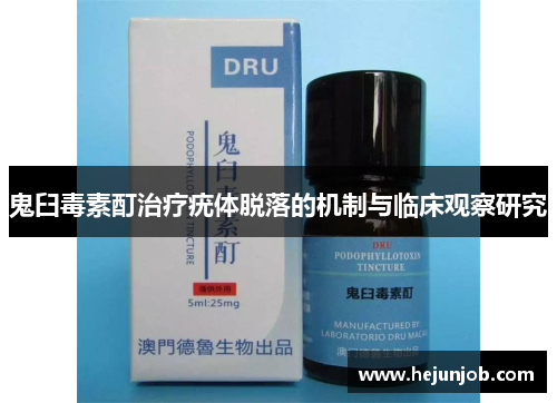 鬼臼毒素酊治疗疣体脱落的机制与临床观察研究